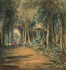 woodland scene