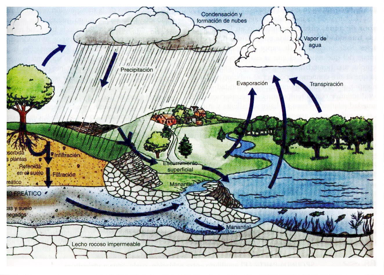 El agua como recurso natural