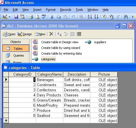 Using Microsoft Access Interface for MySQL Database-info-Easy Web Eazy ...