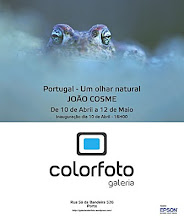 Portugal - Um Olhar Natural