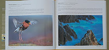 Portfolio no livro do  ASFERICO- International Nature Photography Competion-Italia