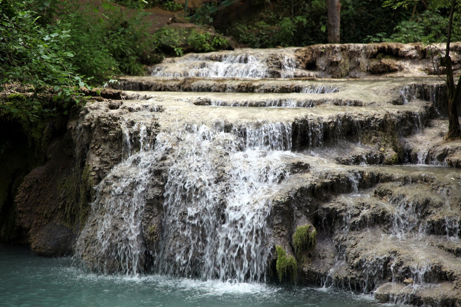 [IMG_6117.JPG]