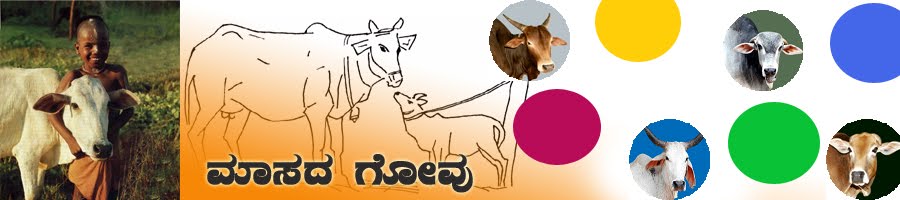 ಮಾಸದ ಗೋವು