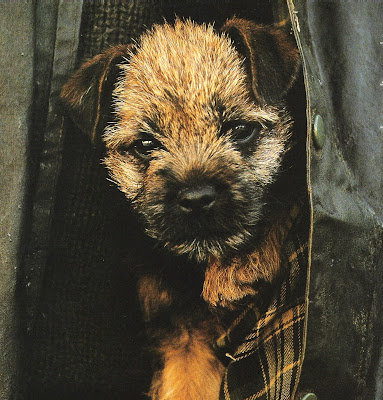 Barbour Ad Circa 2002, edited by lb for (l&l)