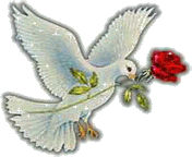 Dreamsland Logo