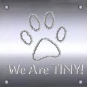 We Are TINY!