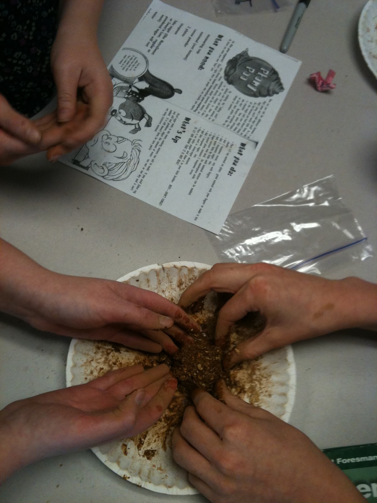 We Love Biology! Studying the Digestive System