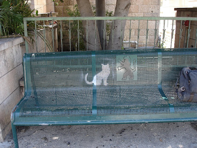 Cat spray-painted next to lion on bench