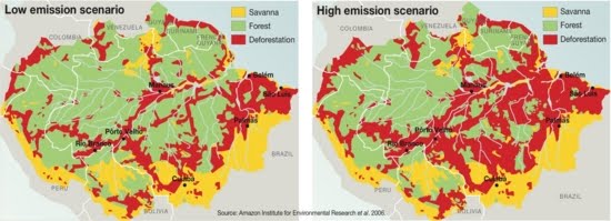 [worst-case-scenario-for-the-amazon-forest_001.jpg]