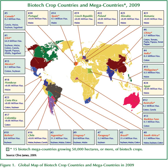 [brief41-exec-figure1.jpg]