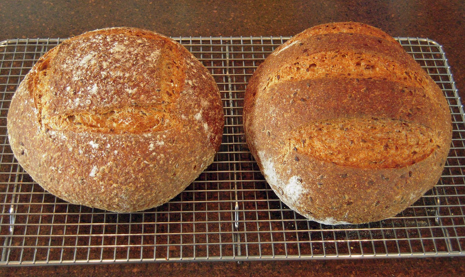 Hamelman Challenge FiveGrain Bread