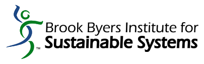 Big Ideas - The Blog of the Brook Byers Institute for Sustainable Systems