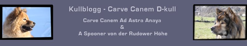 Carve Canem D-kull