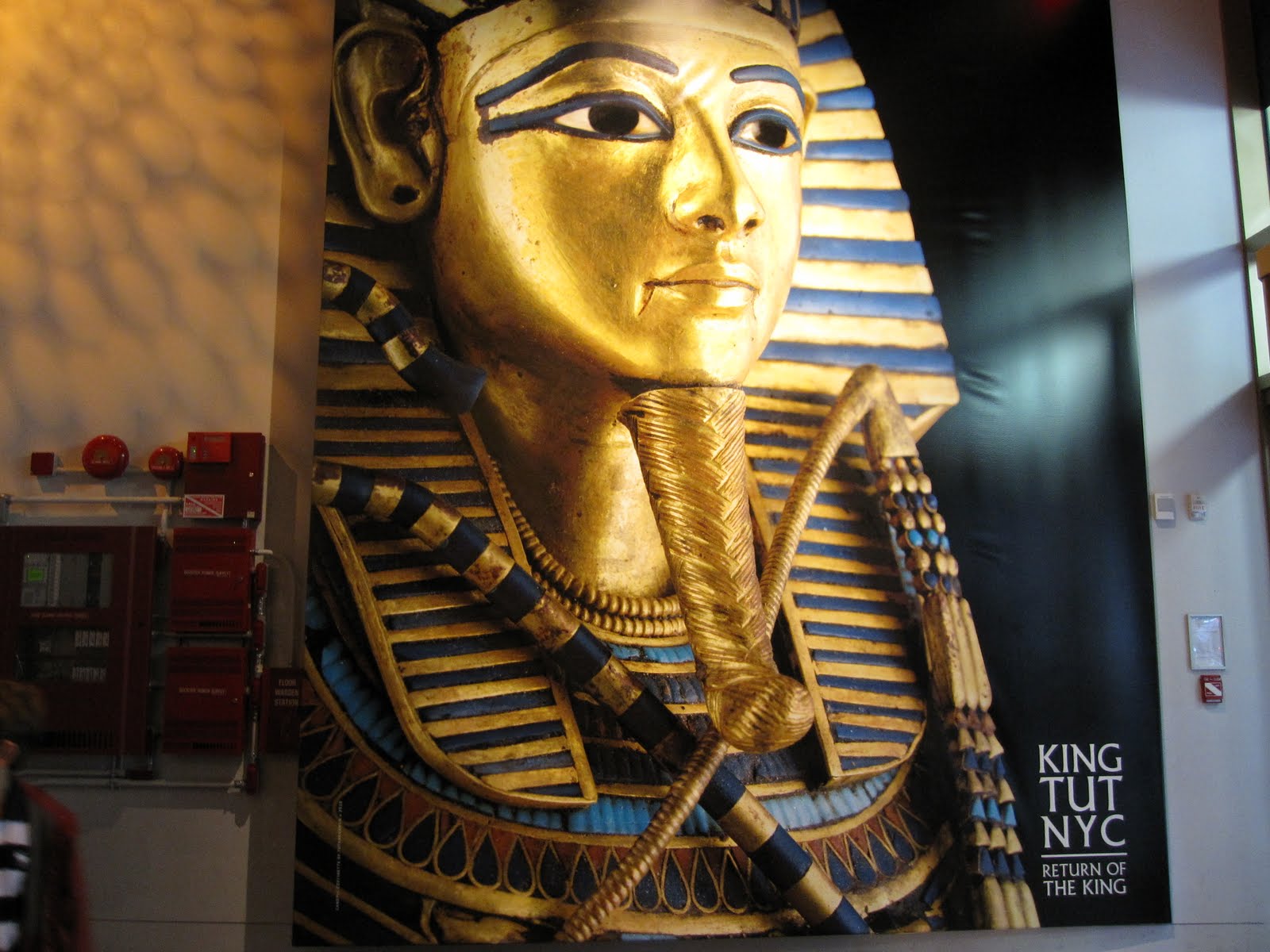 Learning Journeys In Us For Curriculum Design Tutankhamun And The Golden Age Of The Pharaohs