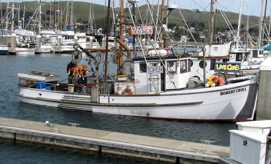 BodegaBayLife: Live Crab for Sale in Bodega Bay