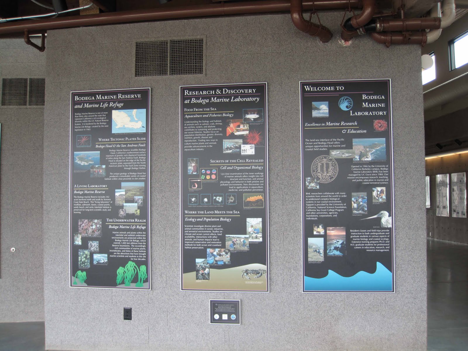 BodegaBayLife Bodega Marine Lab