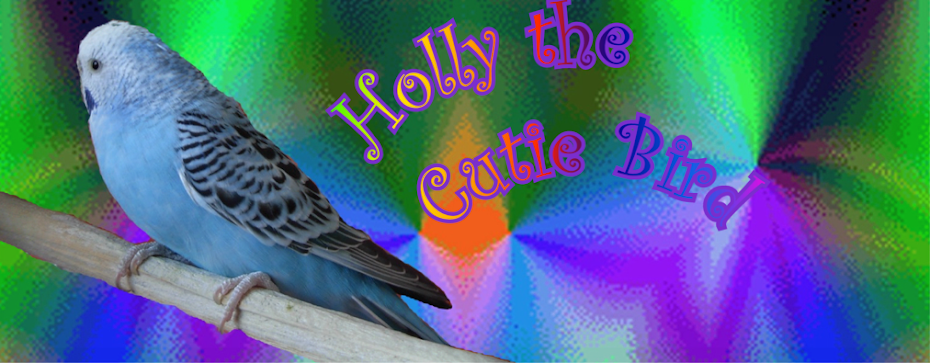 Holly the Cutie Bird