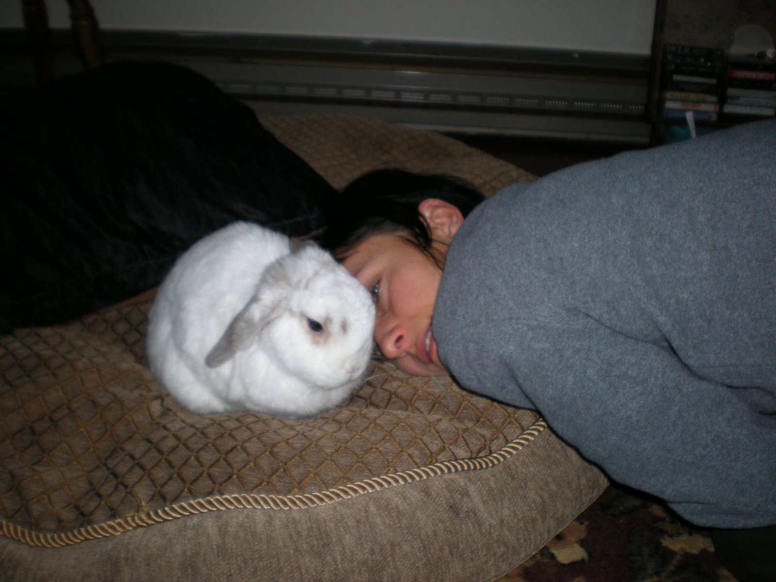 [Fur+free+and+rabbits+097.jpg]