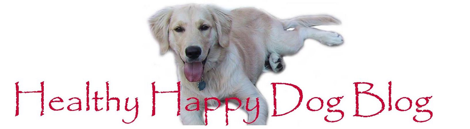Healthy Happy Dog Blog