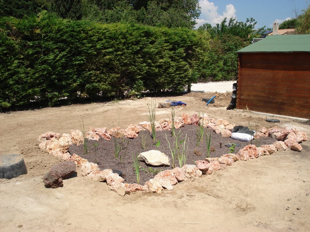 Piscine Naturelle Et Baignade Naturelle Filtre De Pouzzolane Plante