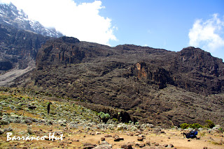 Ascensión a Kilimanjaro, Umbwe route en 4 días - Blogs de Tanzania - Ascensión al Kilimanjaro, Umbwe route en 4 días (14)