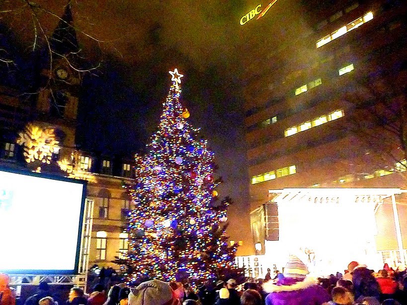 Eapea Dave's Terra Nova Halifax Christmas Tree Lighting November 27