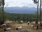Mount Kenya