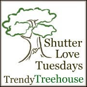 Shutter Love Tuesdays