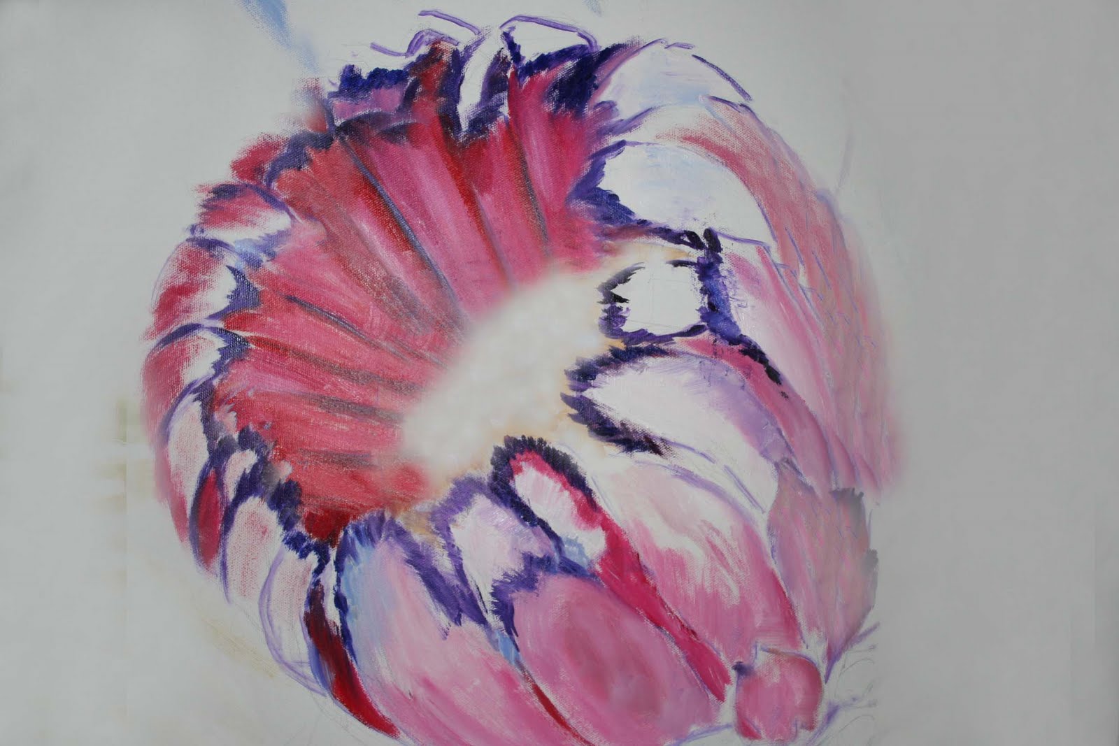 Mysteries in Daily Life: FEATHERY FLOWER