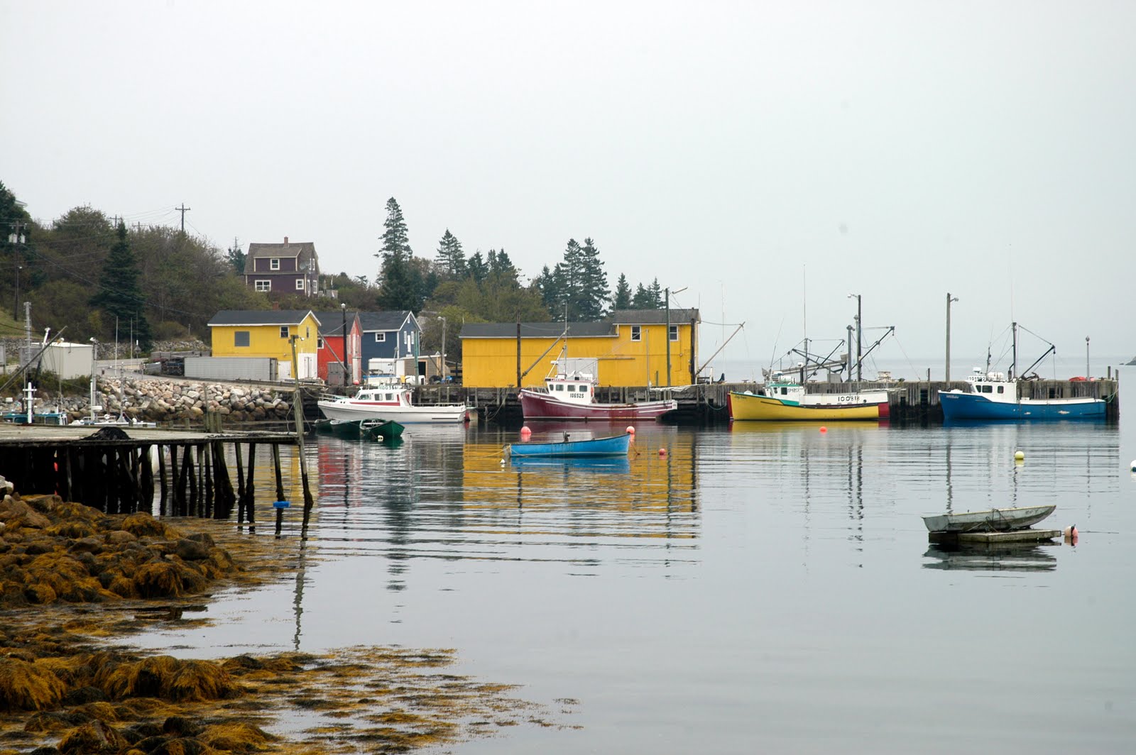 Nova Scotia coast