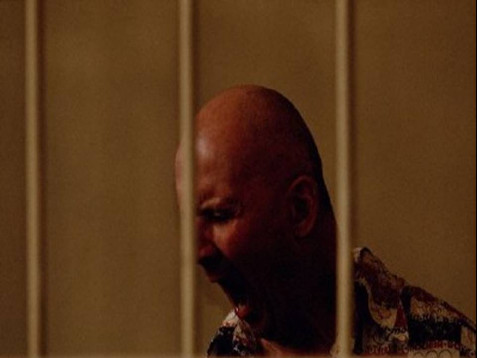 [El+juicio+(013).JPG]