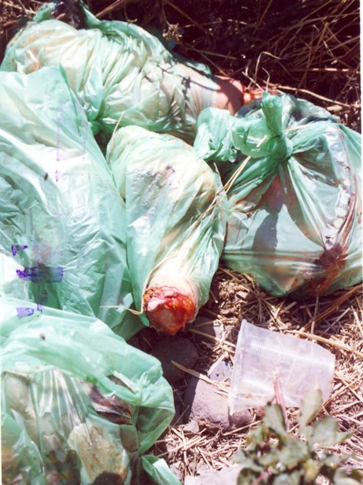 [Bolsas+de+basura.JPG]