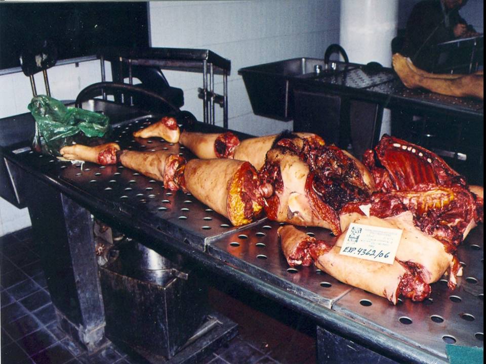 [La+novia+muerta+(005).JPG]