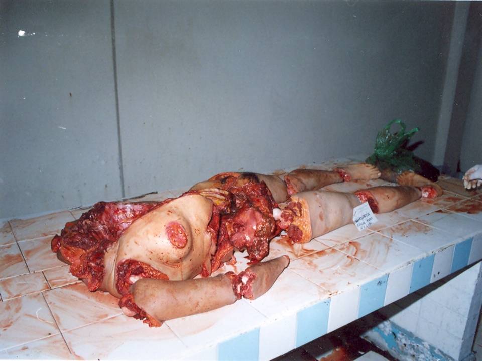 [La+novia+muerta+(002).JPG]