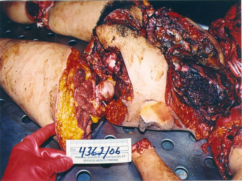 [La+novia+muerta+(007).JPG]