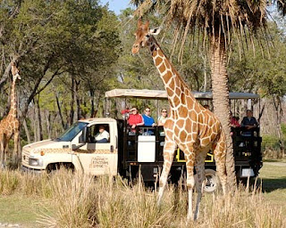 Ellie's journey...: August 2010