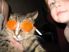the  cat