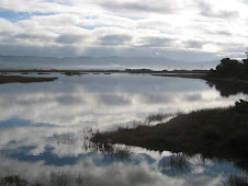 View From Ma-le'l Dunes North