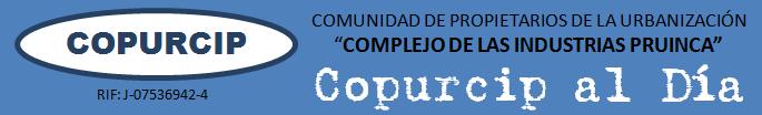 Copurcip al Dia