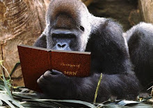 Everybody is Reading... and You?