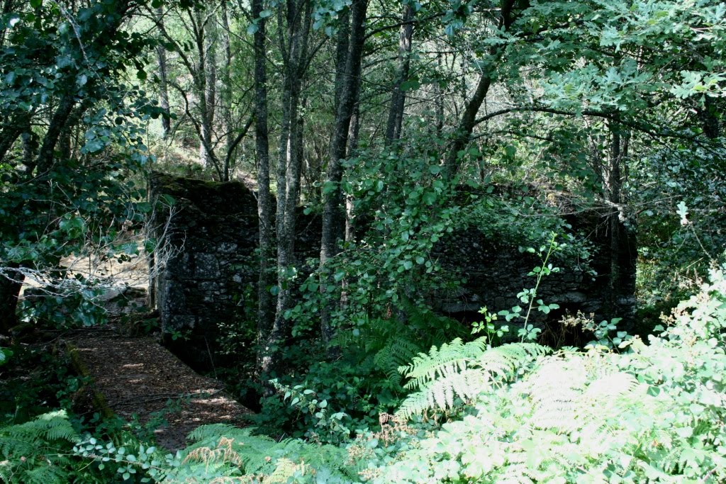 [Moinho+do+Bispo.JPG]