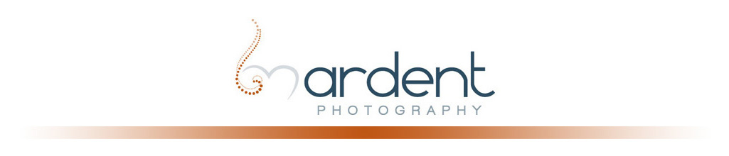 Wisconsin Wedding Photographer - Ardent Photography