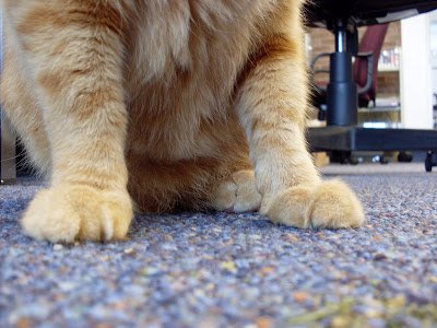 Manly paws and 'nip.