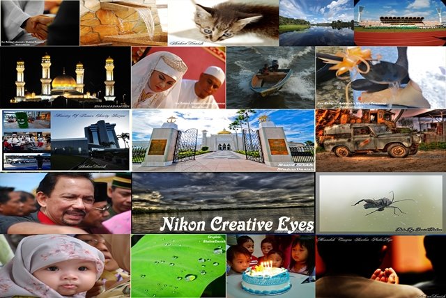 nikon creative