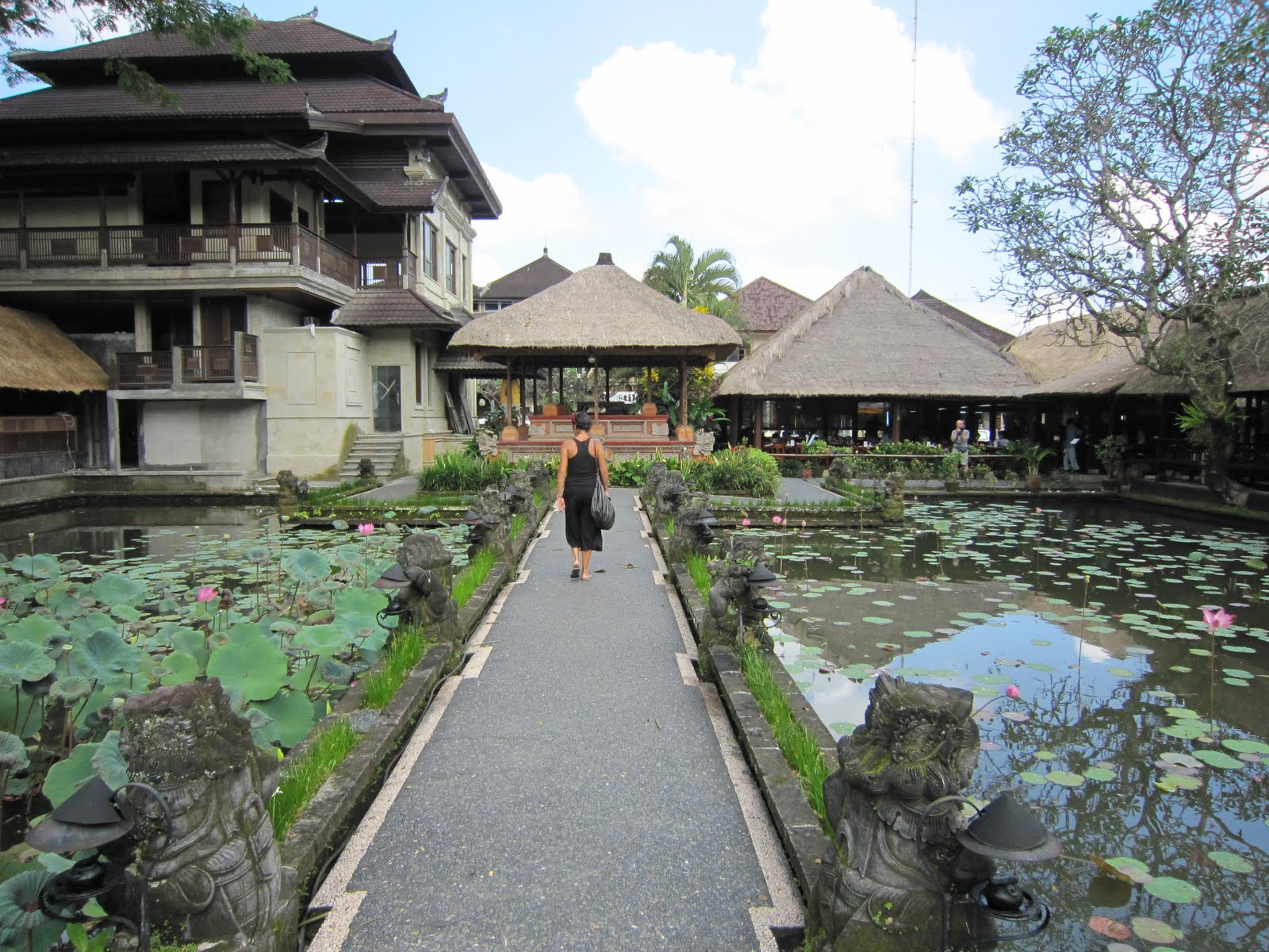 DE VIAJE: julio 2010