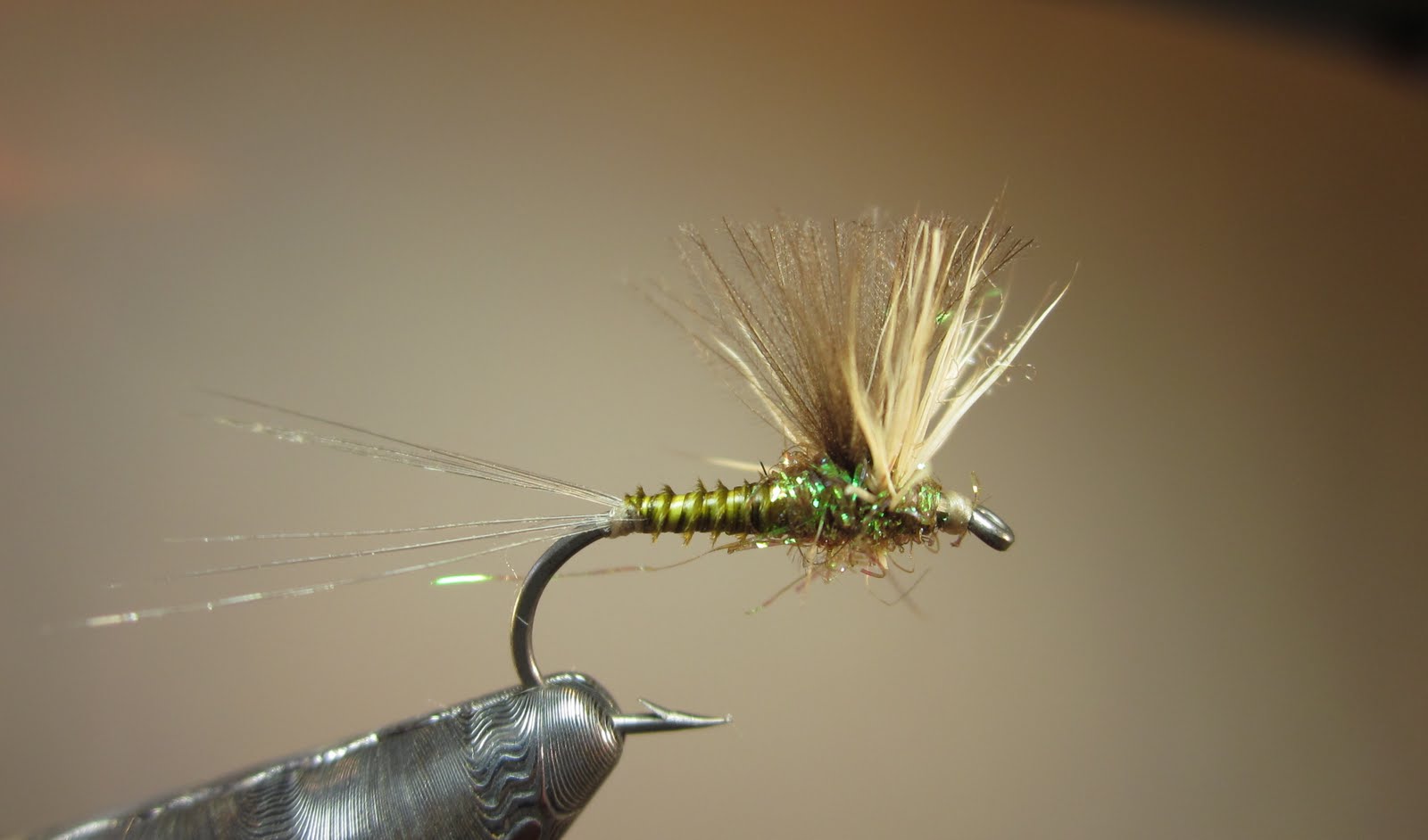 Fly Fishing and Fly Tying: New photo of a Soft Hackle and Biot Body ...