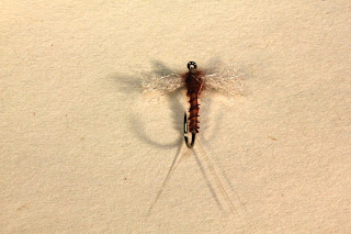 Fly Fishing and Fly Tying: Rusty Spinner with Zelon Wings