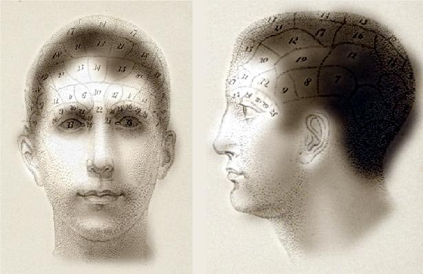 [Cranial+Map+Illusion.jpg]