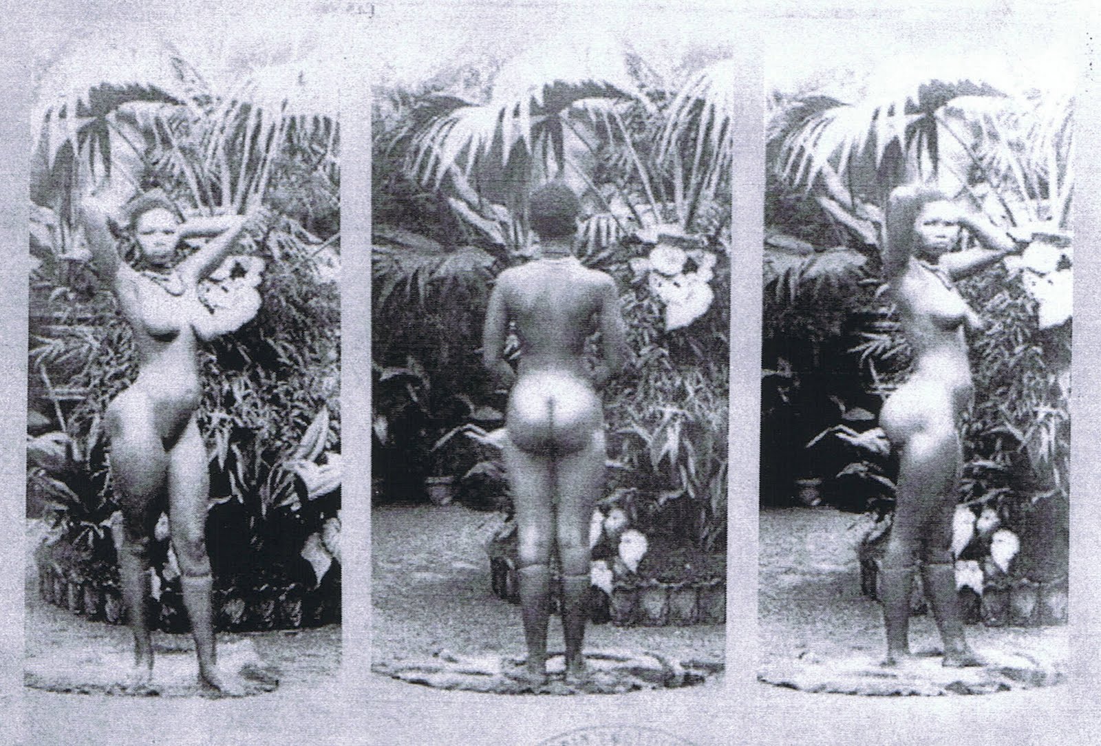 1600px x 1084px - Vintage African Slave Nudes | BDSM Fetish