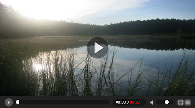 flash-video-png flash-video-png